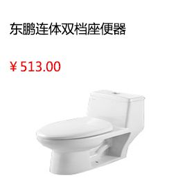 成都雷邦仕屋頂防水補漏材料